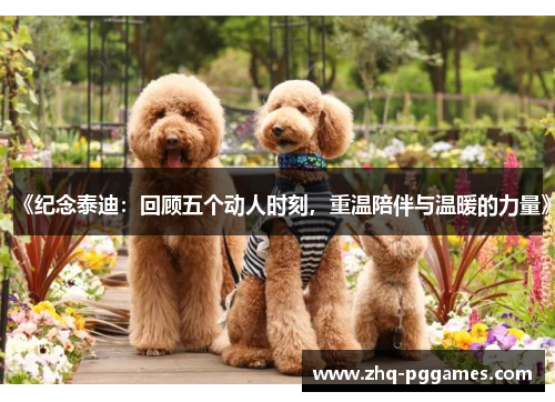 《纪念泰迪：回顾五个动人时刻，重温陪伴与温暖的力量》