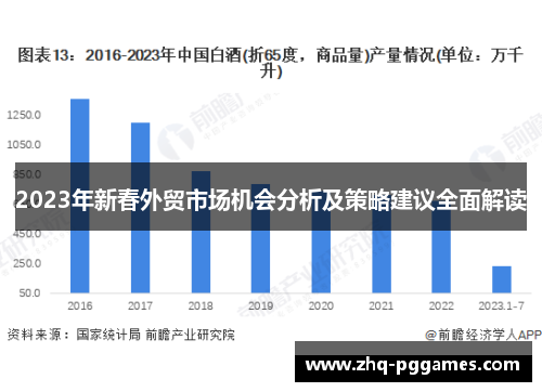 2023年新春外贸市场机会分析及策略建议全面解读